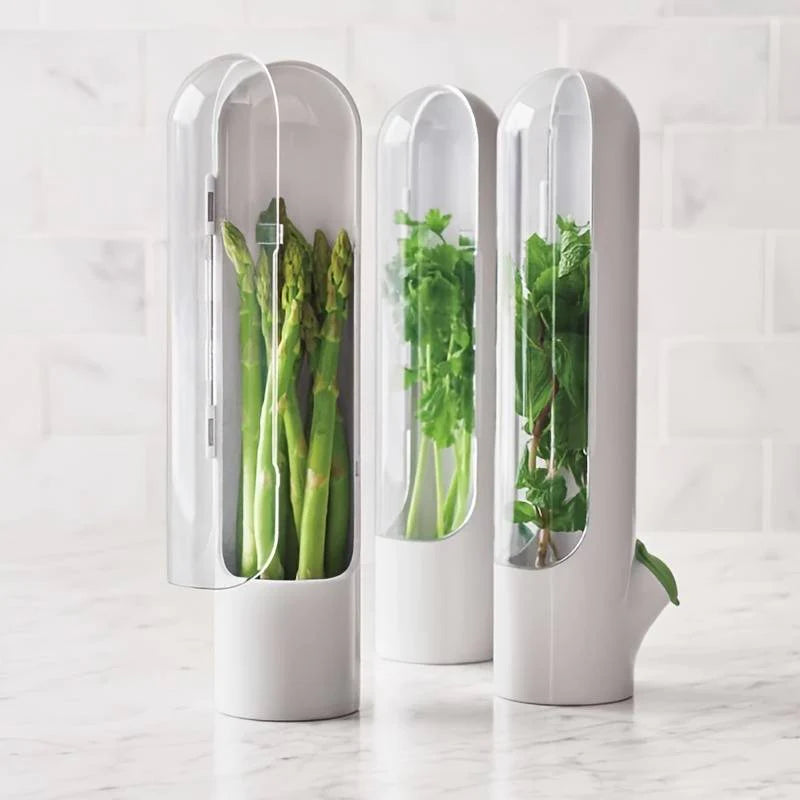 Herb keeper set of 3 with fresh herbs inside on a kitchen shelf
